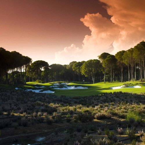 Carya-Golf-s