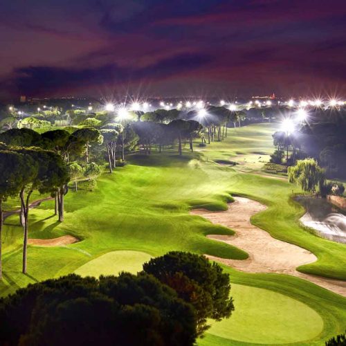 montgomerie